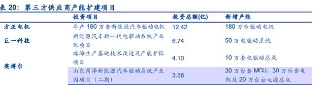 新能源汽车电驱动行业深度报告：行业加速扩张，格局持续优化(图21)